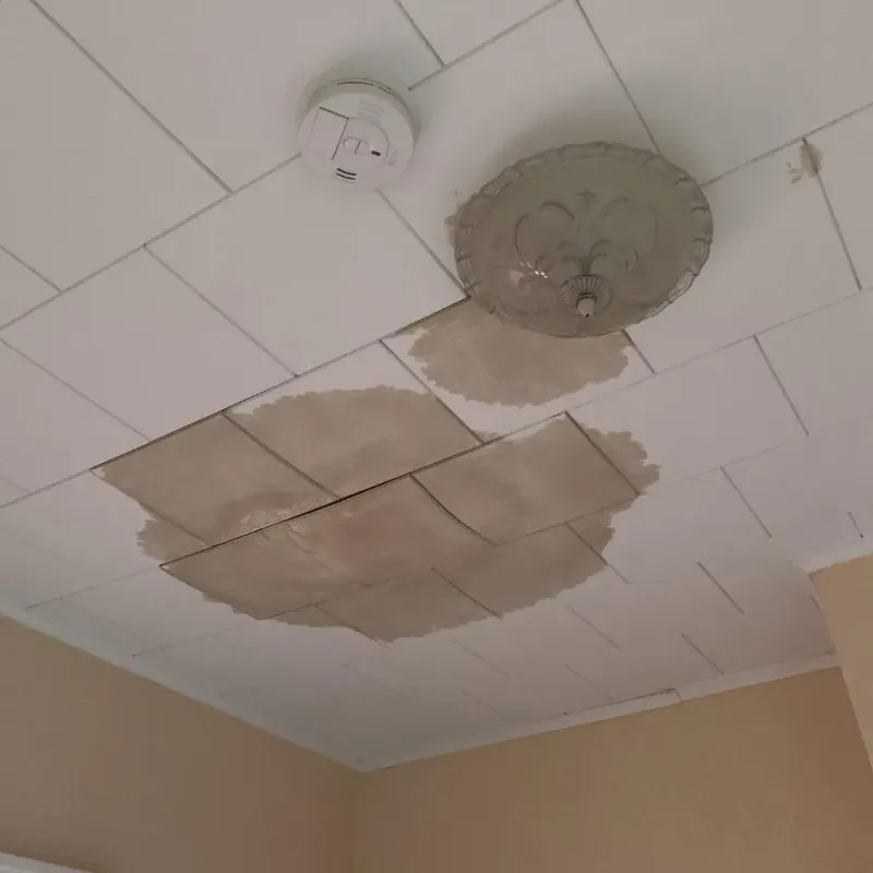 Ceiling Water Damage Repair in Broadway, NC