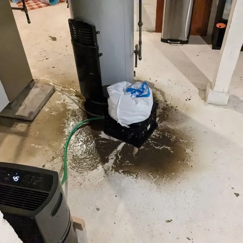 Sewage Backup Cleanup Service in Broadway, NC